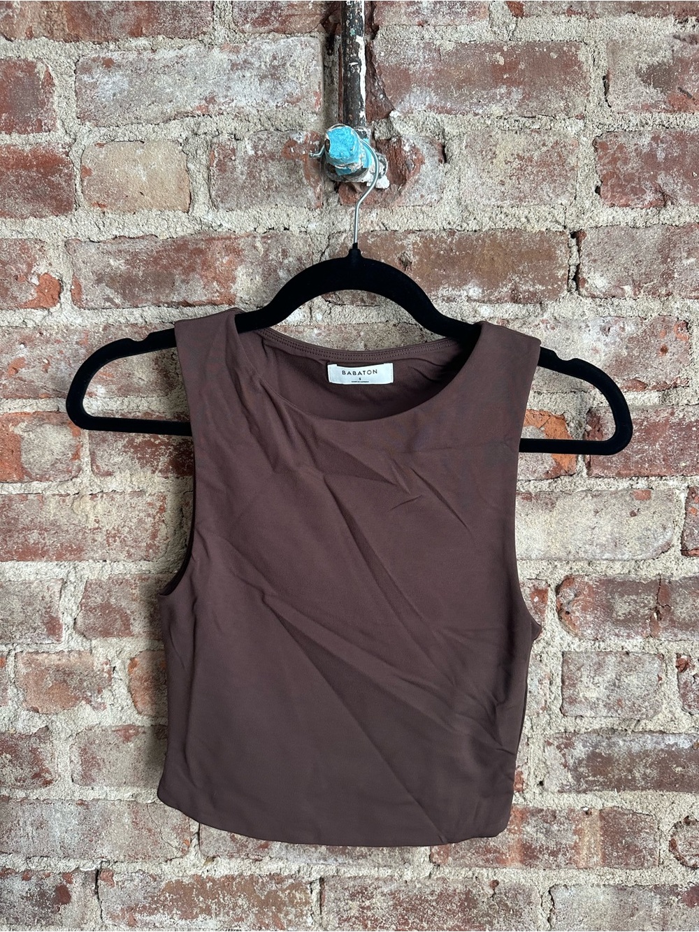 Aritzia Babaton Sleeveless Top in Chocolate Brown